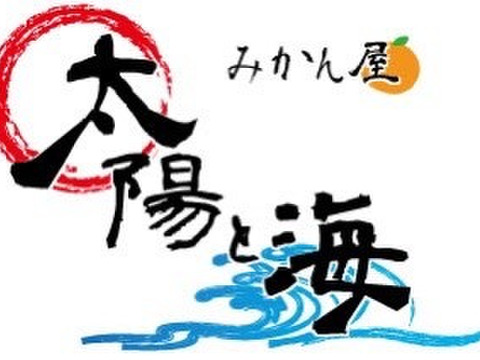 愛媛の伊予柑☆混合サイズ☆ご家庭用☆4.5kg