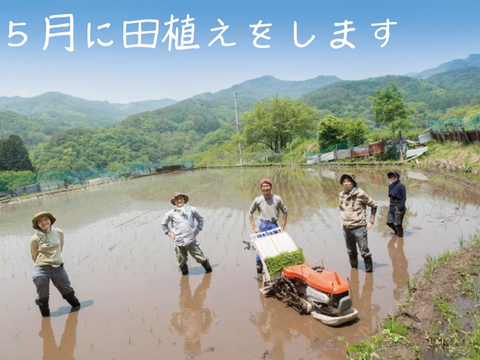 正月餅 生餅 もち米100% 丸もち 30個  約1.2kg ご注文最終12月23日 発送は年末12月24～27日につきたて発送 杵つき ひめのもち  岡山の雪国 ひるぜん農園 nama30