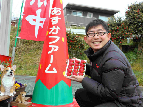 【2026年発送先行予約】【特大サイズいちご🍓】拳と同じくらい大きいいちご 50g以上の特大サイズ 580g2パック