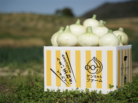 この時期にしか食べられない♪淡路島新玉ねぎ「とろ甘・早生種」５kg