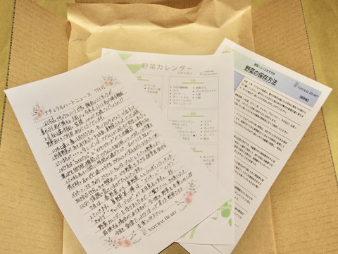 【自然栽培×固定種】の野菜セット「プレミアム野菜ボックス」