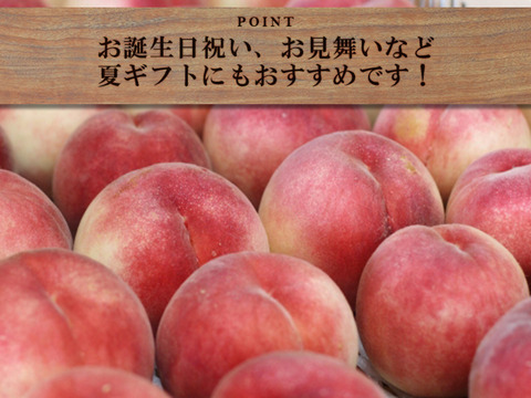 【予約販売！🍑山梨白桃】約２キロ！特大～大サイズ５～７個！一度食べたら忘れられない  その時期一番おいしい品種をお届け【品種おまかせ】