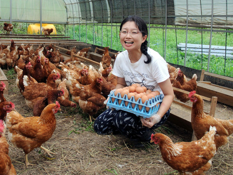 「ほんまの卵」はしあわせ卵　平飼い有精卵20個