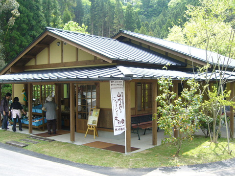新登場‼＼よくばりヨーグルトセット／阿蘇黒川温泉から★人気ヨーグルトをフルラインナップでお届け♪≪数量限定≫贈りものにも♪熨斗対応可◎