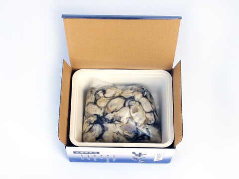 旨味たっぷり！倉橋産生牡蠣むき身  1kg　贈答用、家庭用