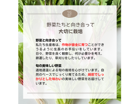【自然栽培×固定種】の野菜セット「プレミアム野菜ボックス」
