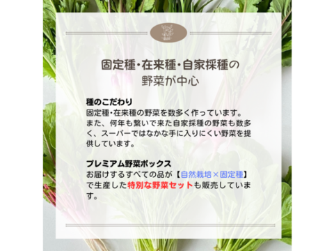 【自然栽培×固定種】の野菜セット「プレミアム野菜ボックス」