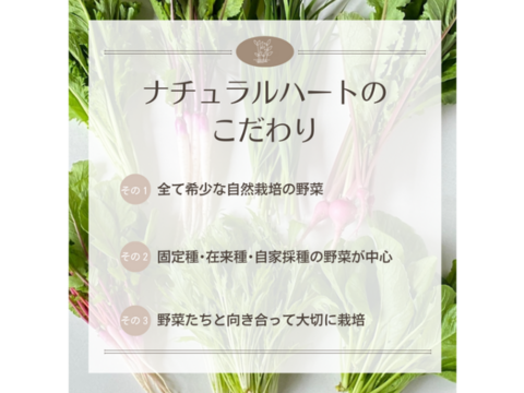 【自然栽培×固定種】の野菜セット「プレミアム野菜ボックス」