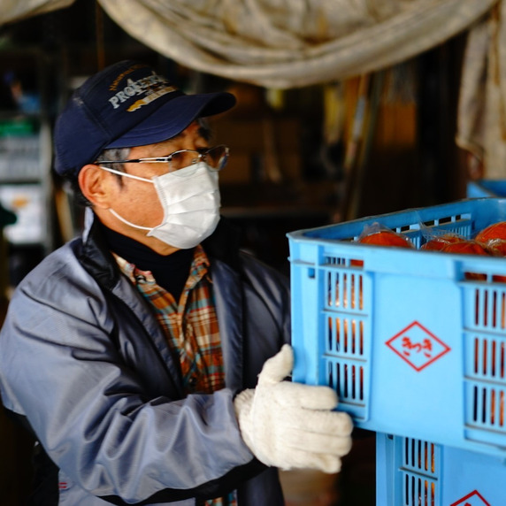 河野蜜柑農園（Kawano Mikan Farm）