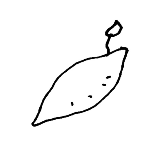 OOTANIさつまいもファーム