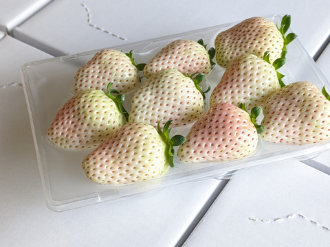 特選いちご３種食べ比べセット　８～１１玉入り約２７０g×３パック　【化粧箱でお届けします】