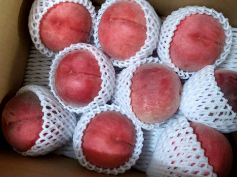【お中元】【収穫当日発送】信州産の真っ赤で甘い桃！なつっこ　３kg(８～９玉)