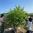 自然農園　Very Berry Farm UEDA