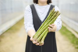 🎉2年越しで販売再開🎉青空レストラン出演🧑‍🌾『夏のMr.アスパラ』30㎝/1㎏