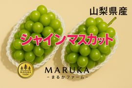 🍇【山梨県笛吹市産】プレミアムシャインマスカット 約1.2kg🍇 ～芳醇な甘みと爽やかな香り、贅沢なひとときを～