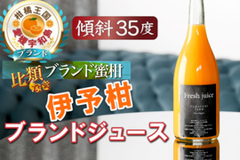 🍊TBS出演記念🍊THE・TIME紹介ミシュラン御用達『幻の伊予柑ジュース』傾斜35度を誇る絶壁で実る希少な宇和島ブランド