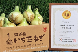 【野菜ソムリエサミット金賞🏆】淡路島新玉ねぎ5kg