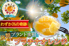 🍊わずか3%の希少な柑橘🍊断崖絶壁で収穫される『幻のプラチナオレンジ』傾斜35度の崖上で収穫される希少な宇和島ブランド【なかなか市場に出回らない約1.5kg】6月上旬発送【家庭用・贈り物】
