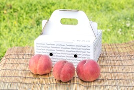 ＜2025年先行予約＞【桃：夏雄美・1.5kg程度】早生ながら甘み、食味抜群！希少品種