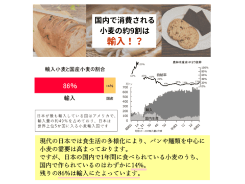 【栽培期間中農薬不散布】ふすま粉 あらい 10kg 2kg×5 栄養価が高い小麦ブラン 日本の小麦 国産小麦 小麦ふすま