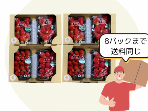(まとめ買い用)オーガニックあまおう　200gパック　※ヤマト80サイズで発送します※