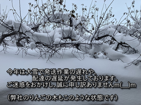 【予約開始！11月中旬発送・人気商品】青森県産りんご「サンふじ」家庭用 キズ有 約5kg【美味・光センサー選果済】