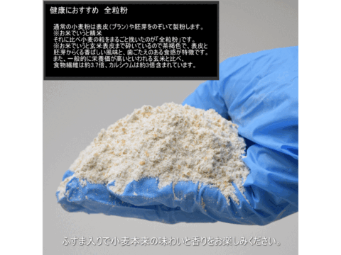 【栽培期間中農薬不散布】ネバ全 全粒粉 中力粉 業務用 25kg 青森県産単一品「ネバリゴシ」100％使用 日本の小麦 国産小麦 国産小麦粉