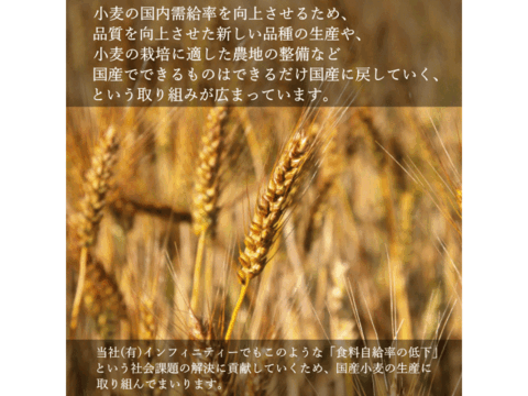 【栽培期間中農薬不散布】ネバ全 全粒粉 中力粉 業務用 25kg 青森県産単一品「ネバリゴシ」100％使用 日本の小麦 国産小麦 国産小麦粉
