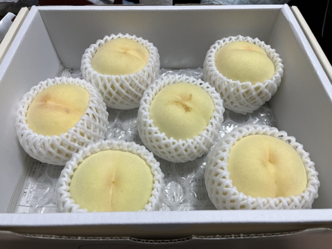 【予約販売】岡山県産"清水白桃" 7〜9玉入り