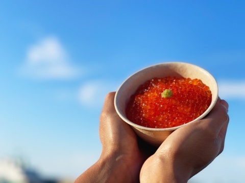 【飲むイクラ】早熟秋鮭いくら醤油漬け（１２０ｇ）