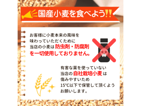【栽培期間中農薬不散布】ネバ全 全粒粉 中力粉 業務用 25kg 青森県産単一品「ネバリゴシ」100％使用 日本の小麦 国産小麦 国産小麦粉