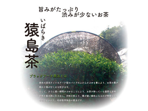 【実質送料無料】猿島茶 粉末緑茶／40g（3袋セット）お手軽！ お茶 緑茶 粉 POD-001