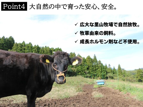 【父の日ギフト】里山牛 人気ステーキ二種セット 　熨斗対応可