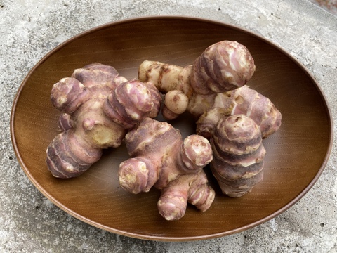 訳あり品【農薬・化学肥料不使用】MOA自然農法で育った紫菊芋　5kg
