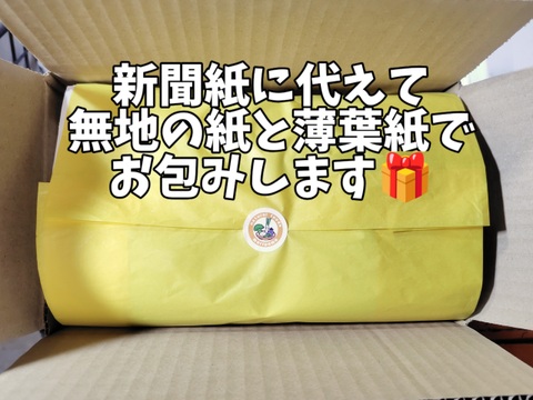 【夏ギフト】太陽の光たっぷり！オクラ1㎏（100~125本程度）≪さぬき讃ベジタブル≫