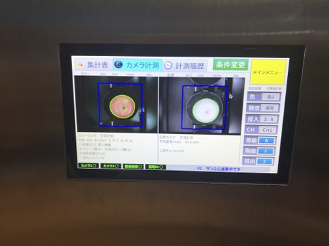【予約開始！11月中旬発送・人気商品】青森県産りんご「サンふじ」家庭用 キズ有 約5kg【美味・光センサー選果済】