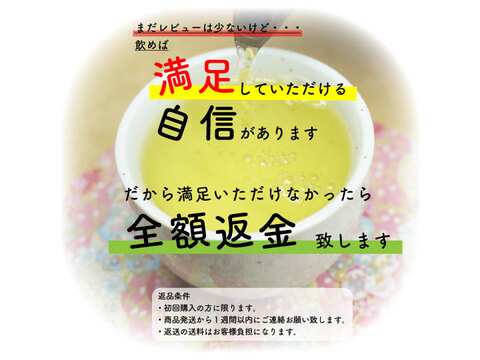 【コスパ最強】猿島茶ティーバッグ／5g×50  実質送料無料 定番人気 お茶 お徳用 水出し お湯出し 猿島茶 さしま茶  日本茶インストラクター監修 クリックポスト 冷茶 TBG-051