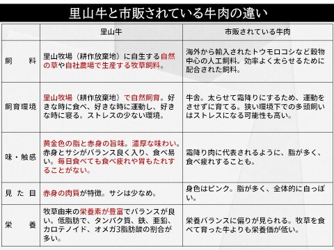【父の日ギフト】里山牛 人気ステーキ二種セット 　熨斗対応可