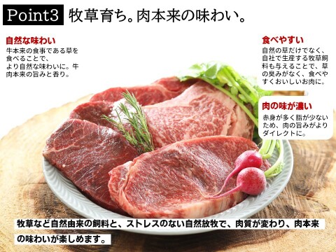 【希少！数量限定！】ミノ200g 自然派ホルモン！自家産飼料だけ与えた放牧牛で安心♪