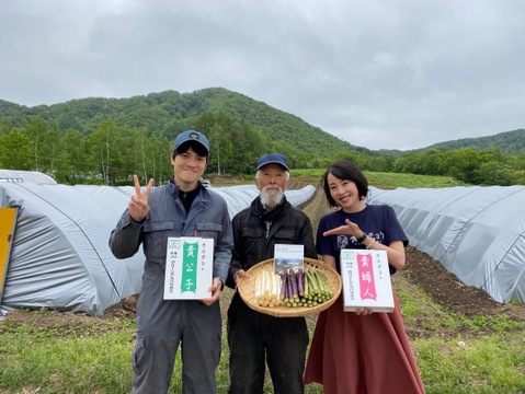 (W3L0.5kg)[有機JASホワイトアスパラガス]カルデラの貴婦人(北海道)(極太)(春芽)