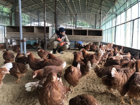[ご新規様限定]平飼い　生卵20個入り
生卵が食べたくても食べれないご新規様お試し半額❗️〜こってり卵にさようなら〜