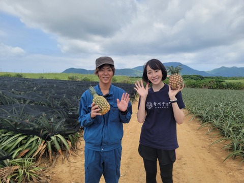 《最高峰パイナップル》ハナナス農園のゴールドバレル【2玉〜3玉】約3kg