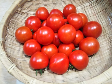 【たまきちさん専用】
リクエスト野菜セット
明日発送致します。
「お客様」が選ぶ旬野菜のおまかせセットです。
