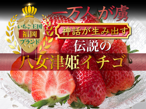 【ミシュラン御用達】🍓やみつきリピーター続出🍓累計数十万人が虜になる実力糖度『八女津姫ブランドいちご』大容量パッケージ2月下旬ごろ発送