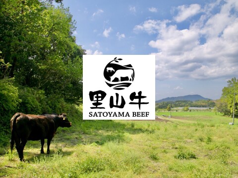 ハチノス200g トマト煮込みのトリッパで人気♪