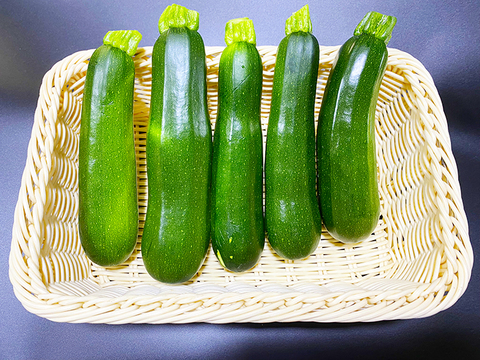 ズッキーニ（約1.5kg）農薬・化学肥料不使用