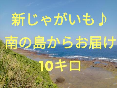 新じゃがいも 沖永良部島産　10キロ