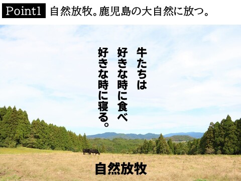 【数量限定】牛スジ200g 牧草由来のオメガ3で全身の細胞膜と脂が良質化♪