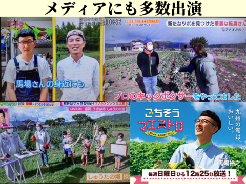 豊水 ６～７玉【訳あり！お買い得品！】口の中に果汁がジュワ～♪とこぼれる豊水梨「味は変わらないキズあり品」8月中旬頃～発送開始。