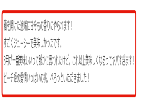 🍑お中元ギフト🍑白桃熟桃【8月上旬予約】クール便で鮮度抜群☆お中元フルーツ王国本場山梨が誇るセレブリティーまさに別格な贅の極み『完熟』高級志向ブランド桃🍑お得用約2kg【朝どれ】